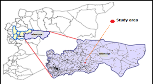 Development of Modeling Forage Crop Irrigation Using Fao&ndash; Aqua Crop 2012 Program, Salamiyya, Syria