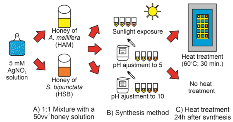 Comparison of the Antibacterial Effect of Different Biological Silver Nanoparticles Synthetized and Integrated with Honeys