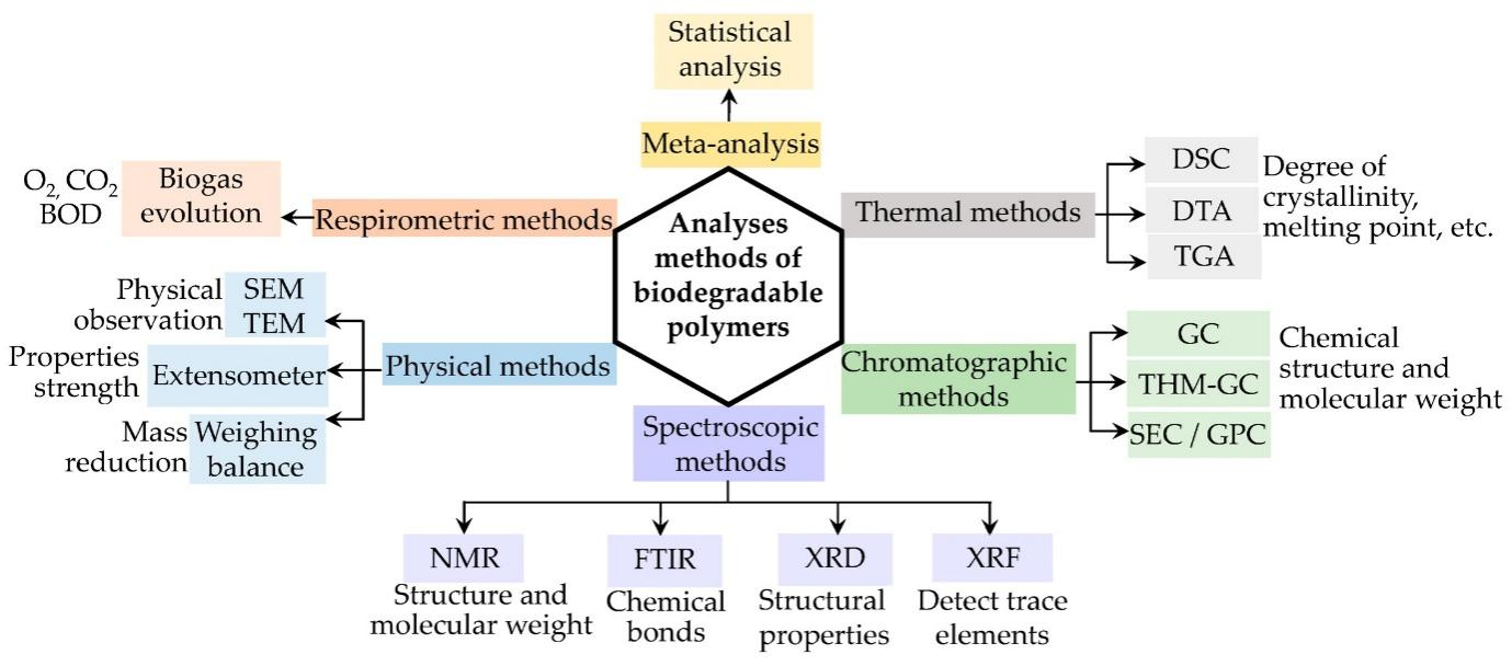 Next-Generation Biodegradable Polymers: From Synthesis to Industrial Applications