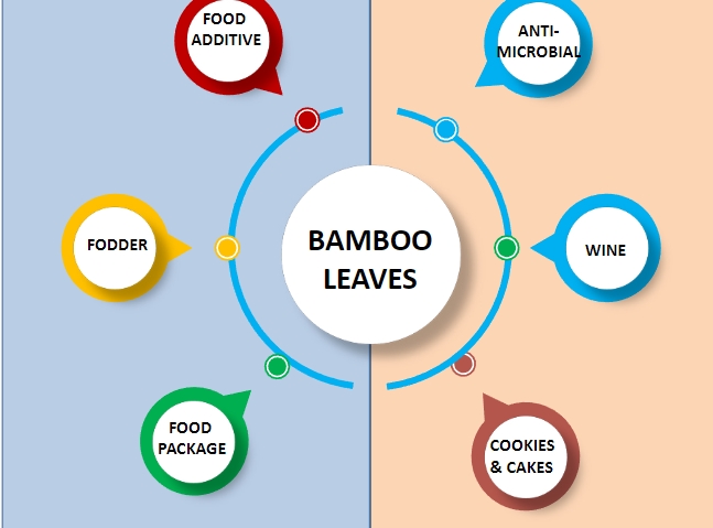 Bamboo Leaves: An Emerging Multi-functional Food 